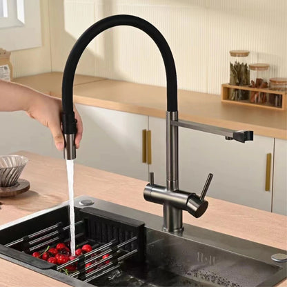 Gold Brass Kitchen Faucet with Filter