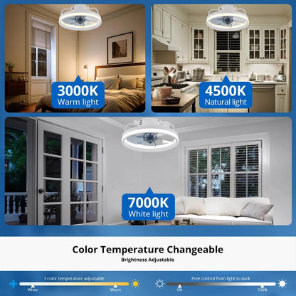 Remote Control Ceiling Fan Light