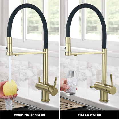 Gold Brass Kitchen Faucet with Filter