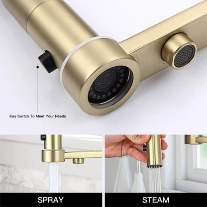 Gold Brass Kitchen Faucet with Filter